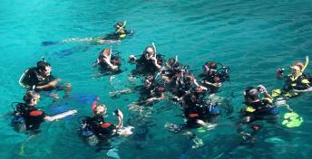 summer camp scuba diving